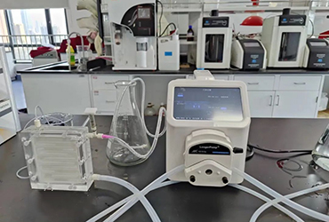 蘭格智能泵助力中國農業科學院油料作物研究所植物蛋白純化